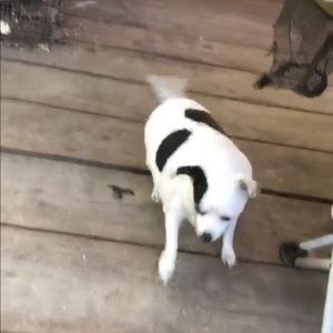 Meet your Posher, Storm